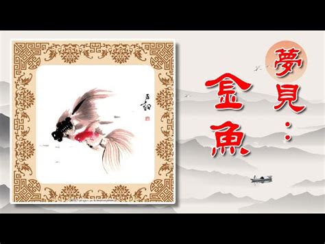 金魚死掉處理|【金魚死掉處理】金魚駕鶴西歸？神救援秘笈！金魚死掉處理全攻。